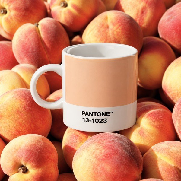 Persikų spalvos iš porceliano puodelis espreso 120 ml Peach Fuzz 13-1023 – Pantone-image-1