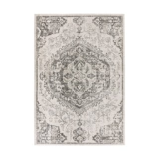 Kilimas pilkos spalvos/kreminės spalvos 160x230 cm Nova – Asiatic Carpets