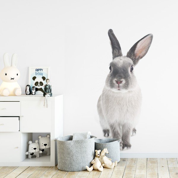 Sienų lipdukas Dekornik Rabbit Harry, 53 x 115 cm-image-1