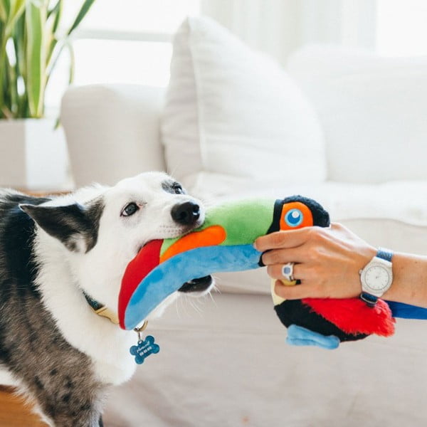 Žaislas šuniui Paukštis - P.L.A.Y.-image-1