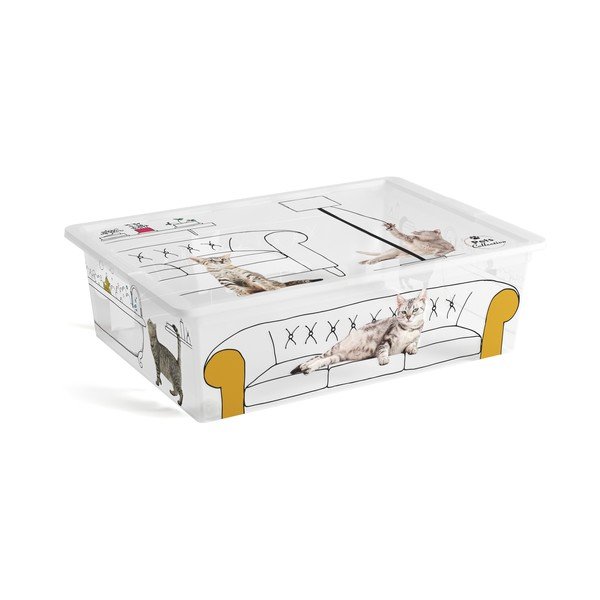 Baltos spalvos iš plastiko daiktadėžė su dangčiu 55x39x16 cm C Box Style – KIS