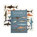 Laikina tatuiruotė 2 vnt. Sharks - Rex London