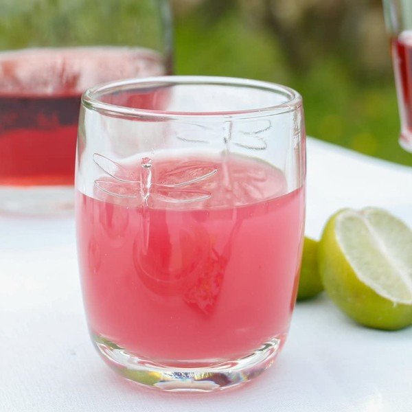 6 vnt. stiklinių rinkinys La Rochère Libellules, 280 ml-image-1