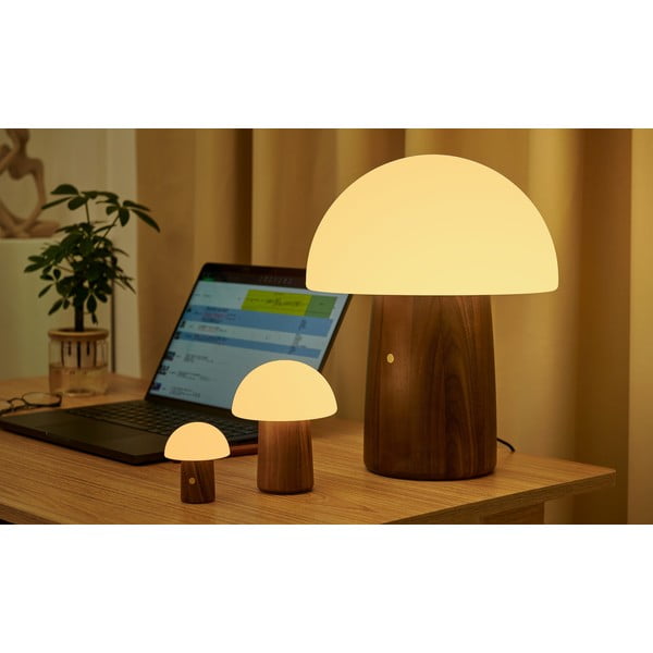 Baltos spalvos/tamsios natūralios spalvos stalinis šviestuvas LED (aukštis 7 cm) Alice Mushroom – Gingko-image-1