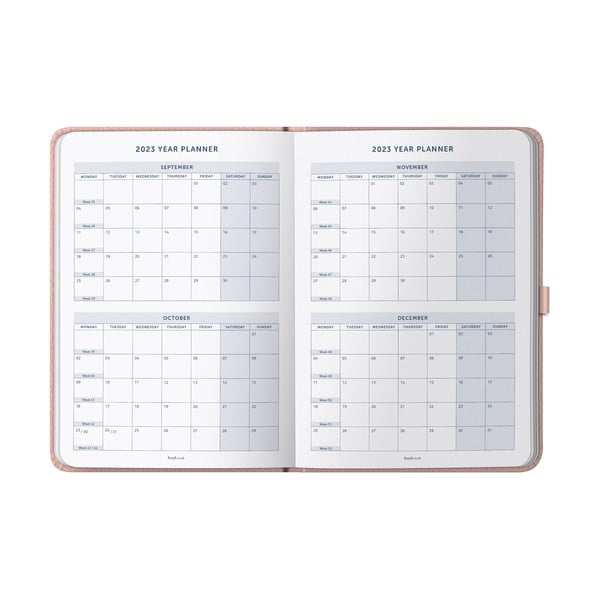 Dienoraštis - Busy B-image-3