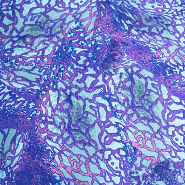 Mėlynos spalvos iš medvilnės viengulė vaikiška patalynė 140x200 cm How To Train Your Dragon – Jerry Fabrics-image-4