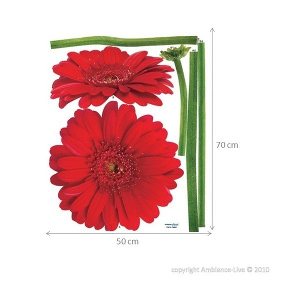 Lipdukas Ambiance Gerbera gėlės-image-2