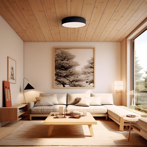 Lubinis šviestuvas juodos spalvos LED ø 60 cm – SULION-image-1