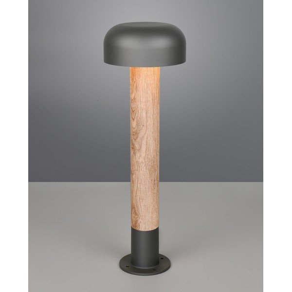 Stulpas lauko šviestuvas ø 19 cm Fraser – Trio-image-1