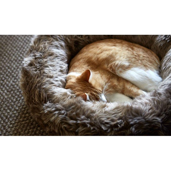 Iš dirbtinio kailio augintinio guolis kreminės spalvos visi augintiniai ø 50 cm Lana Ivory/Mottled Natural – MiaCara-image-2