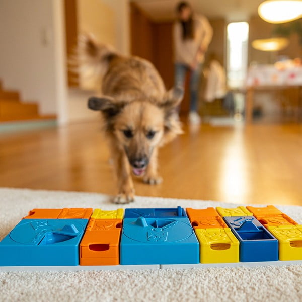 Galvosūkiai šunims - Pawzler-image-1