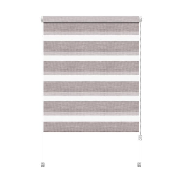 Taupe spalvos diena ir naktis roletai 72,5x150 cm Zebra Silvalin – Gardinia