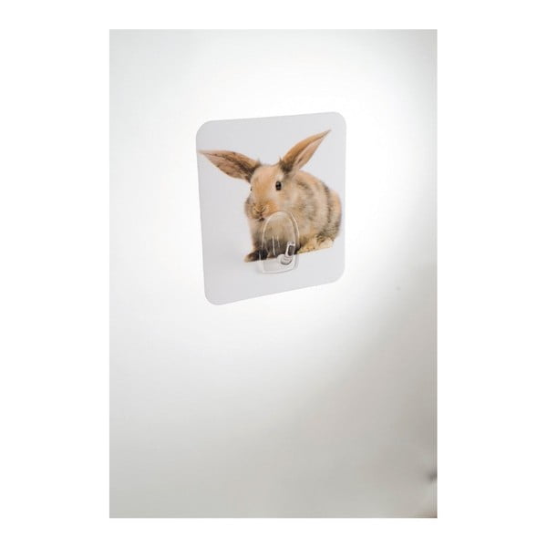Sieninis kabliukas Compactor Magic Rabbit