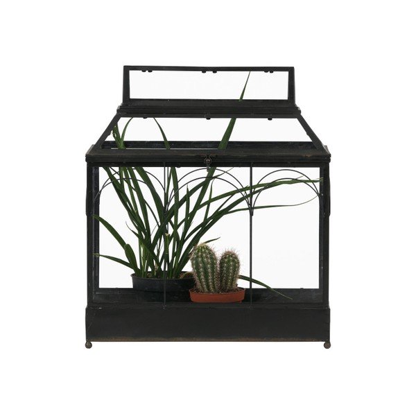 Gėlių terariumas BePureHome Grow-image-1
