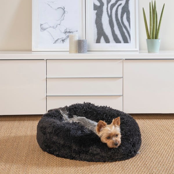 Augintinio guolis juodos spalvos šuniui ø 55 cm – Love Story-image-1