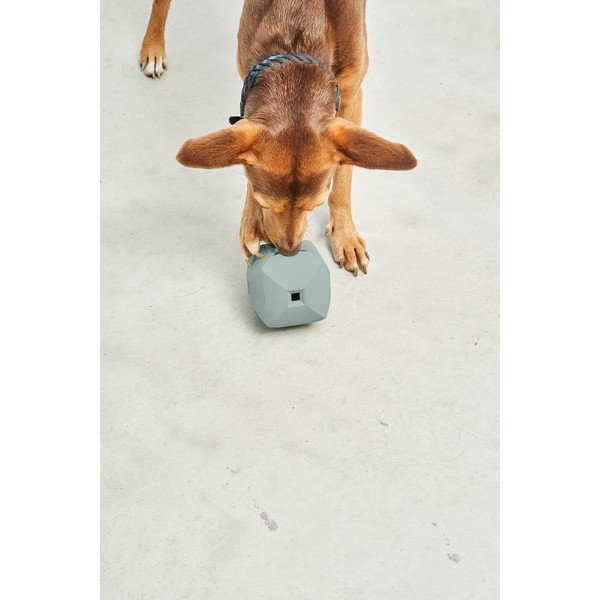 Žaislas šuniui Dado Eucalyptus – MiaCara-image-3