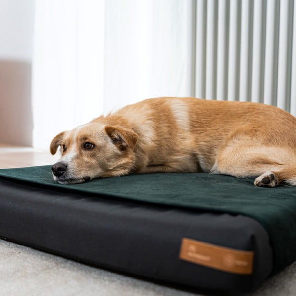 Ortopedinis čiužinys juodos spalvos šuniui 90x70 cm Ori XL – Rexproduct-image-2