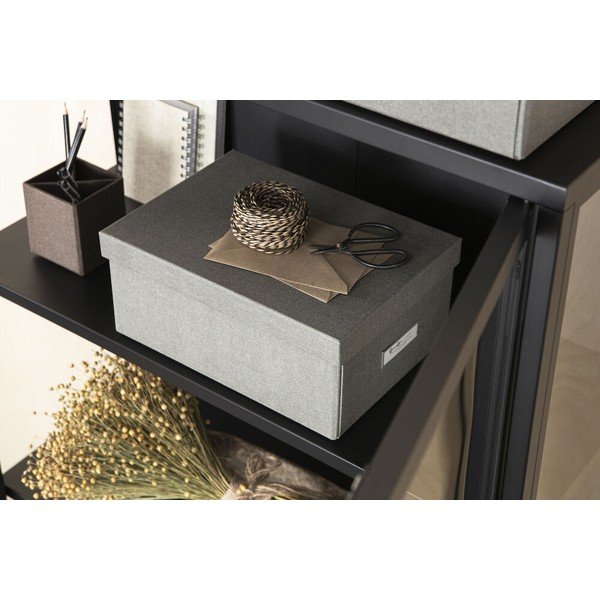 Daiktadėžė su dangčiu Karin – Bigso Box of Sweden-image-1