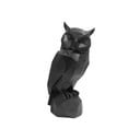 Juoda polirezino pelėdos statula Owl - PT LIVING