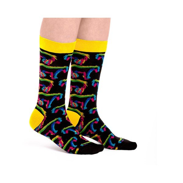 Kojinės Ballonet Socks Pony Socks, 36-40 dydis-image-1