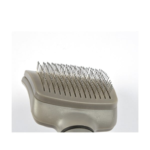 Augintinio šepetys – Love Story-image-3