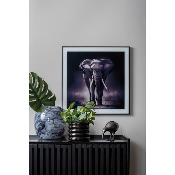 Paveikslas 50x50 cm  Elephant  – PT LIVING-image-1