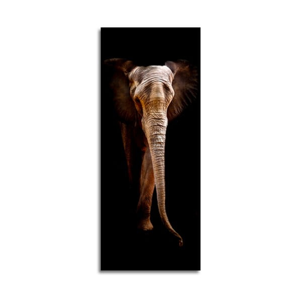 Paveikslas Styler Elephant, 125 x 50 cm