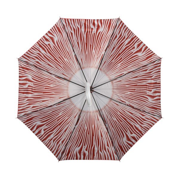Raudonasis skėtis Esschert Design Toadstool-image-3