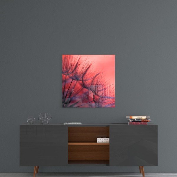 Paveikslas ant stiklo Insigne Raudona pienė, 40 x 40 cm-image-1