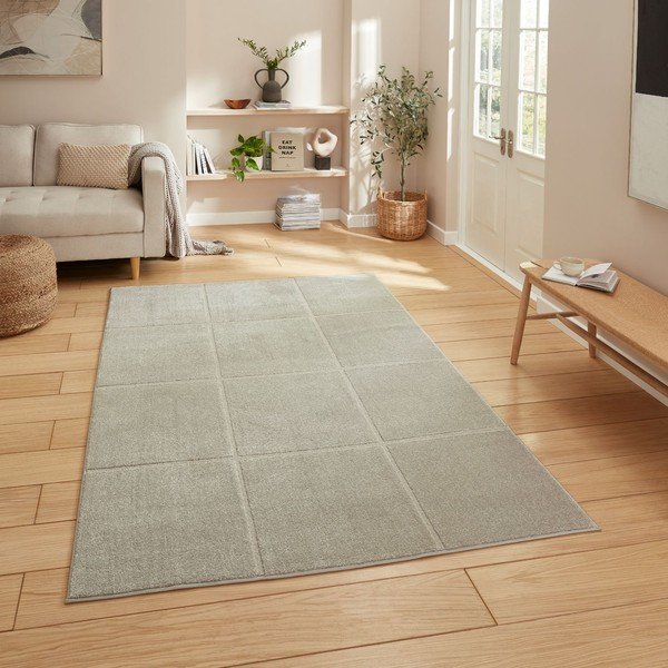 Šviesiai pilkos spalvos kilimas 120x170 cm Elio Silver – Think Rugs-image-1