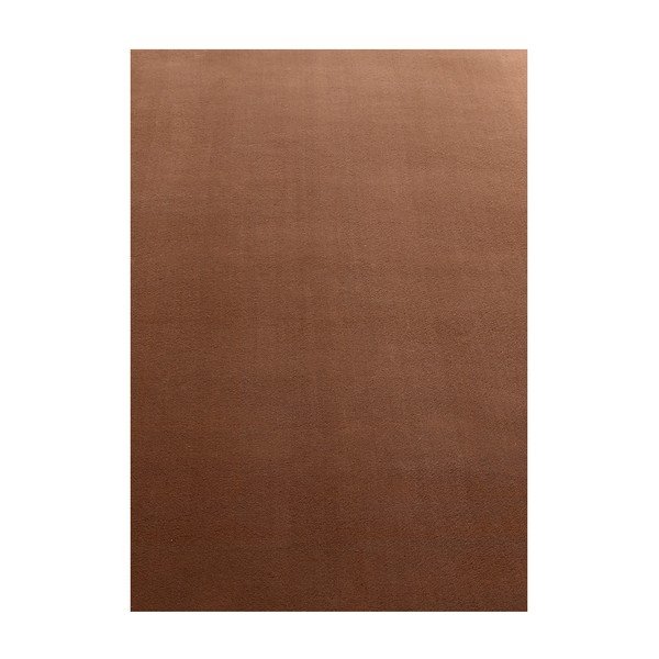 Skalbiamas rudos spalvos kilimas 60x110 cm Sky – Ayyildiz Carpets