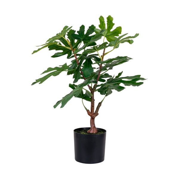 Dirbtinis augalas (aukštis 60 cm) Fig – House Nordic