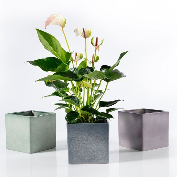 Žalias keraminis vazonas Big Pots Latina, 15 x 15 cm-image-2