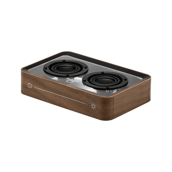 Garsiakalbis Mage – Gingko-image-3