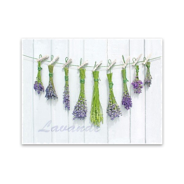 Vaizdas Styler drobė Shabby Herbs, 60 x 80 cm