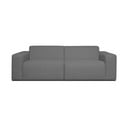 Pilka sofa 228 cm Roxy - Scandic