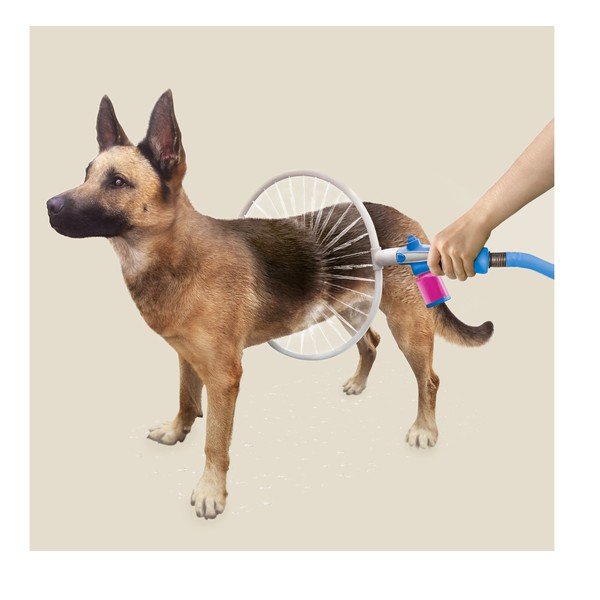 Skalbimo žiedas šunims InnovaGoods-image-1