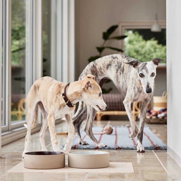 Iš keramikos augintinių dubuo šuniui ø 17 cm Sia – OYOY Living Design-image-1