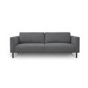 Sofa tamsiai pilkos spalvos 229 cm Hero – Scandic