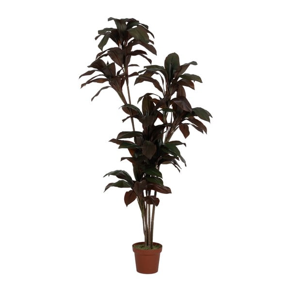 Dirbtinis augalas (aukštis 170 cm) – Ixia