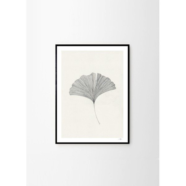 Plakatas 50x70 cm Ginkgo Leaf – Ana Frois – The Poster Club-image-3