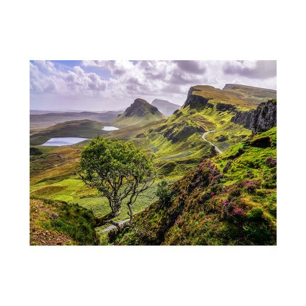 Styler Canvas Scotland Nature, 85 x 113 cm-image-1