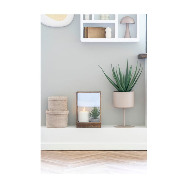 Dirbtinis augalas (aukštis 51 cm) Aloe Vera – House Nordic-image-2