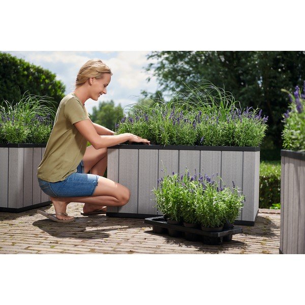 Pakelta sodo lysvė Sequoia Duotech – Keter-image-3