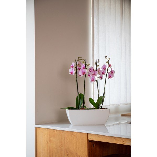 Iš perdirbto plastiko vazonas gėlėms 40 cm Siena – Artevasi-image-1