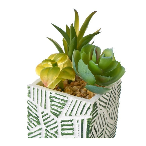 Dirbtiniai augalai 3 vnt. (aukštis 12 cm) Cactus – Casa Selección-image-2