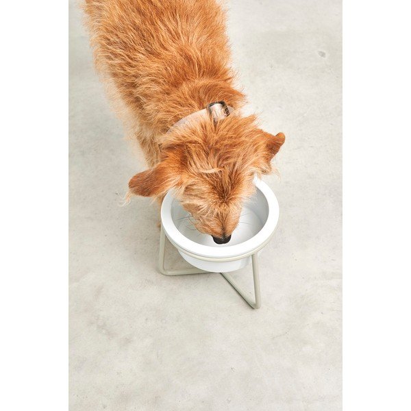 Iš porceliano dubuo su pagrindu šuniui ø 20 cm Pranzo Greige M – MiaCara-image-3