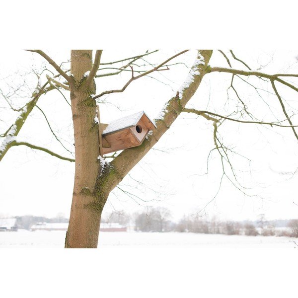 Iš medžio inkilas pelėdai – Esschert Design-image-2