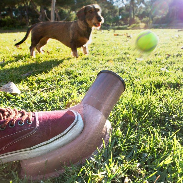Kamuoliukų mėtytuvas šunims InnovaGoods Playdog-image-1