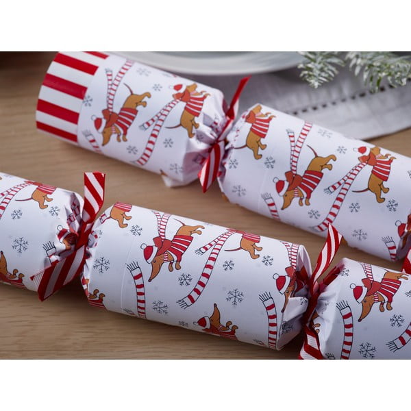 Kalėdiniai krekeriai 6 vnt. Racing Sausage Dog – Robin Reed-image-2